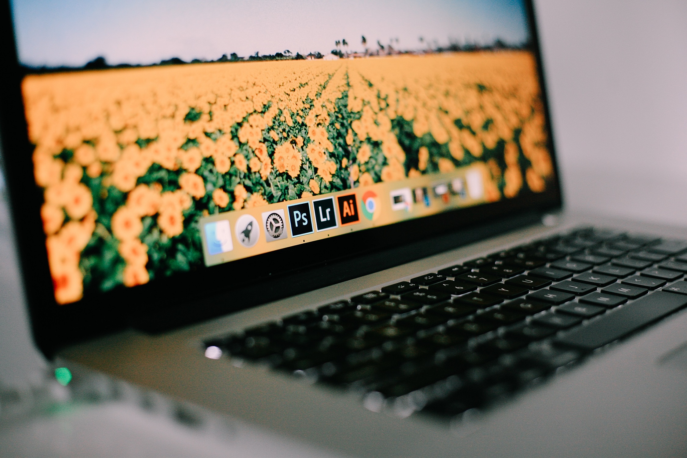 Computer with Adobe Icons Photo by Mikaela Shannon on Unsplash